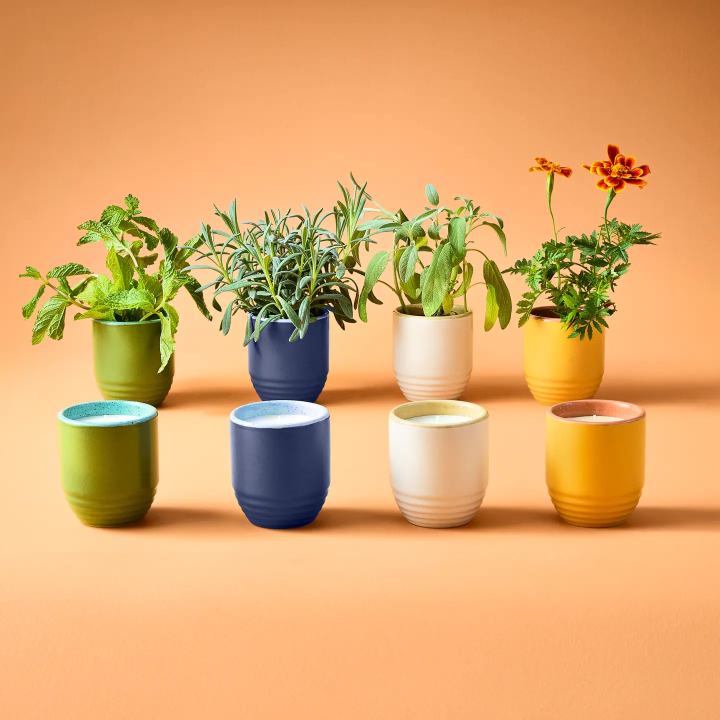 Modern Sprout Garden Vibes Candle/Planter