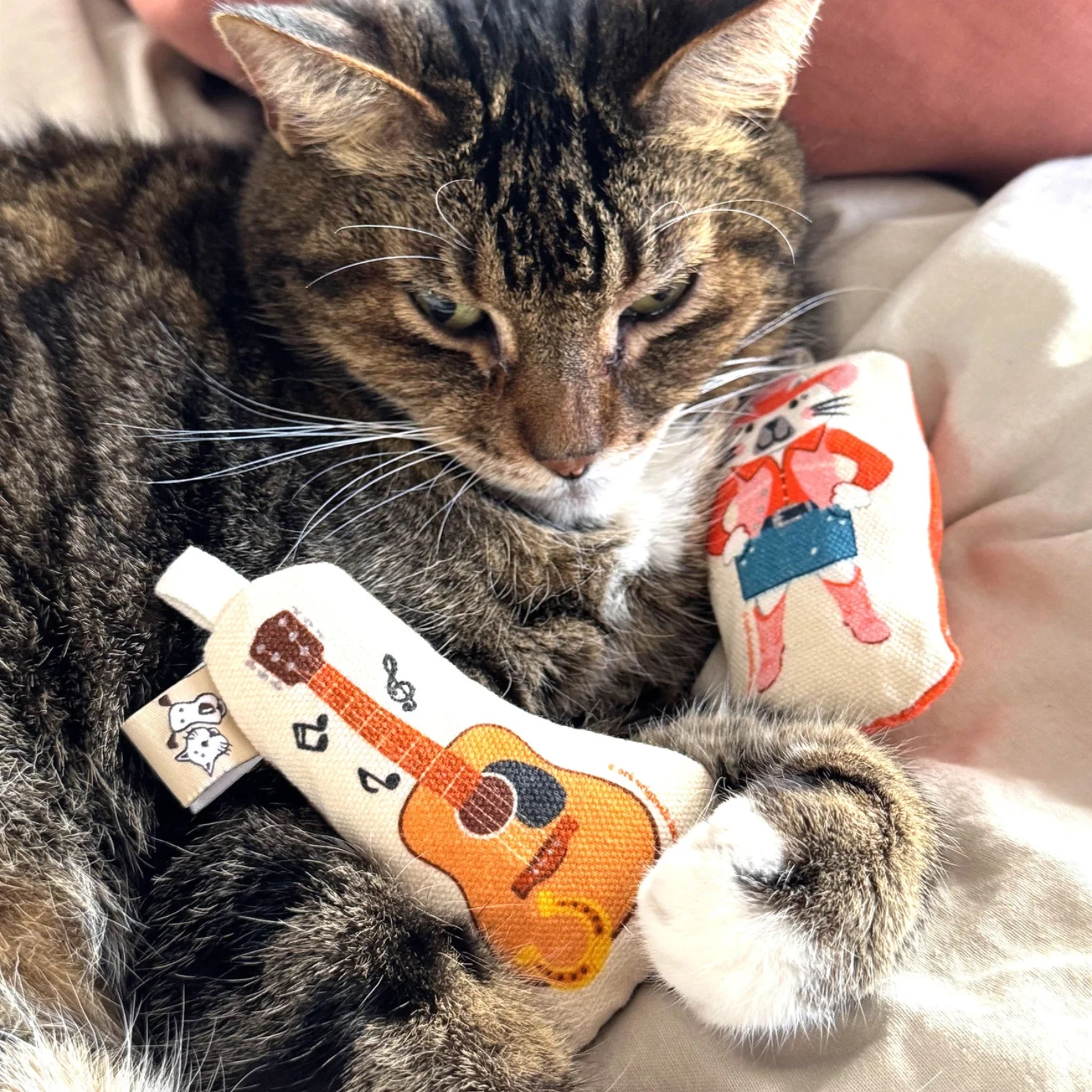 Go Kitty Go Cat Toy Set - Country Music - Image 3