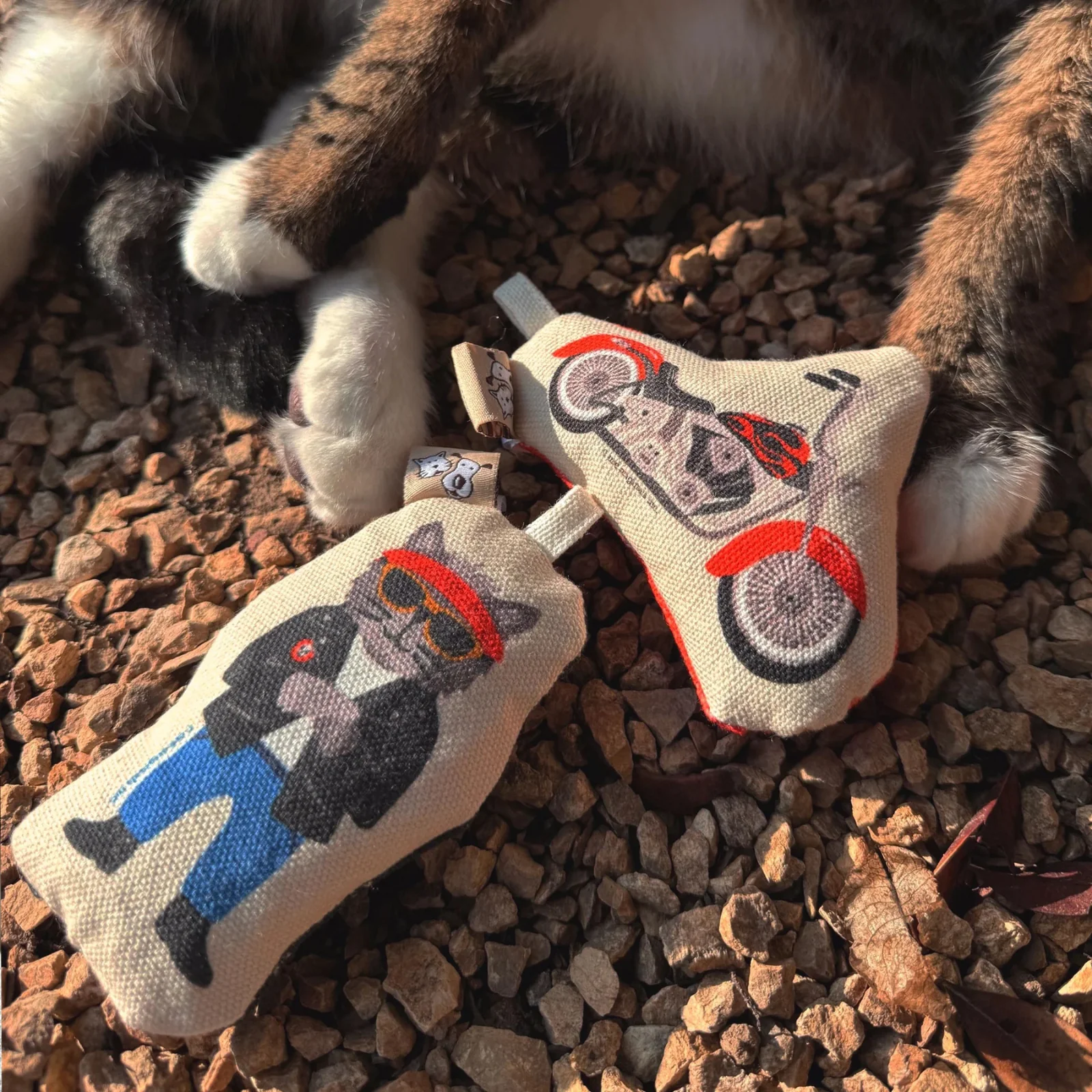 Go Kitty Go Cat Toy Set - Motorcycle - Image 2