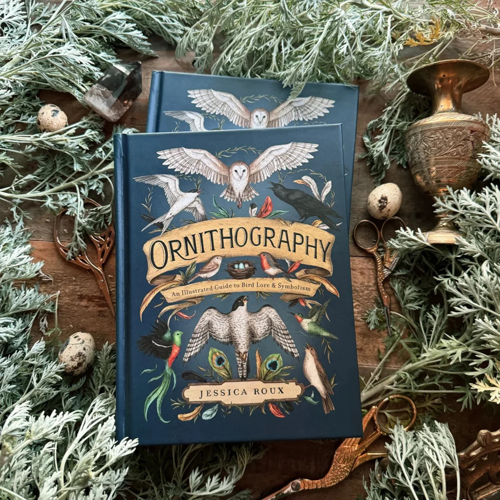 Ornithography: An Illustrated Guide to Bird Lore & Symbolism