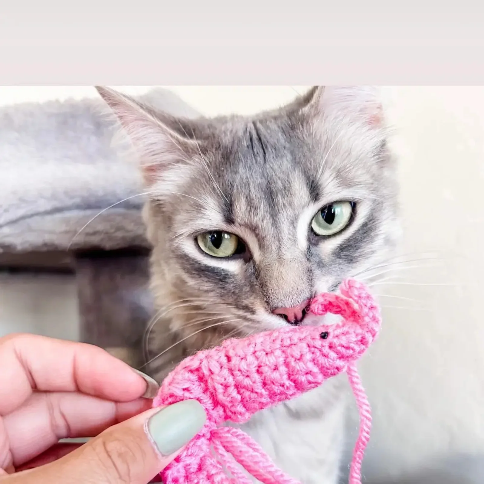 Shrimp Catnip Toy - Image 3
