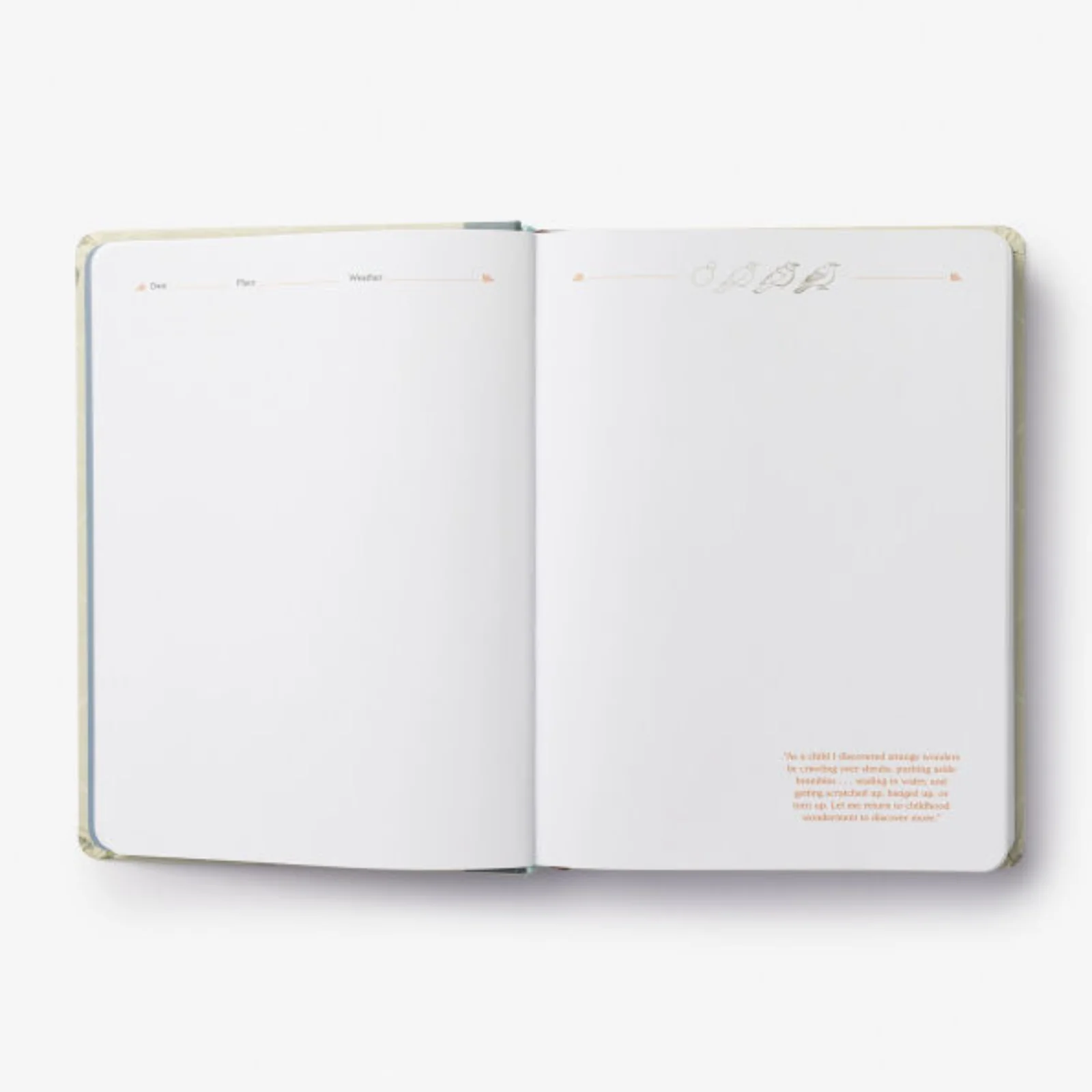 The Backyard Bird Journal: Pages for Writing, Sketching, and Living Deeply in Nature - Image 3