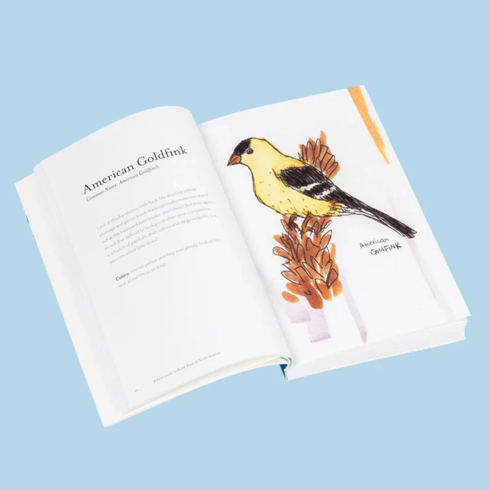 The Field Guide to Dumb Birds of North America - Image 2