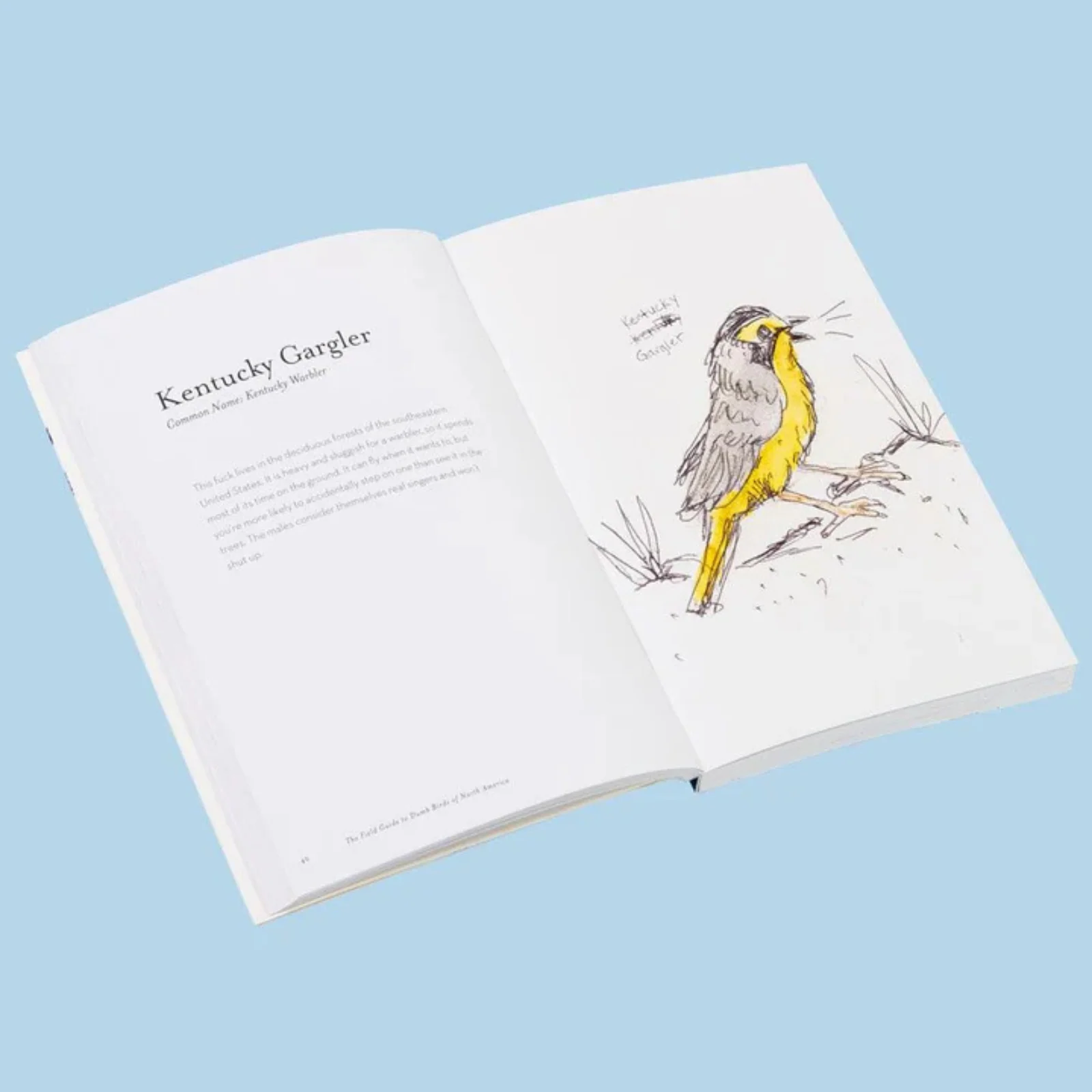 The Field Guide to Dumb Birds of North America - Image 4