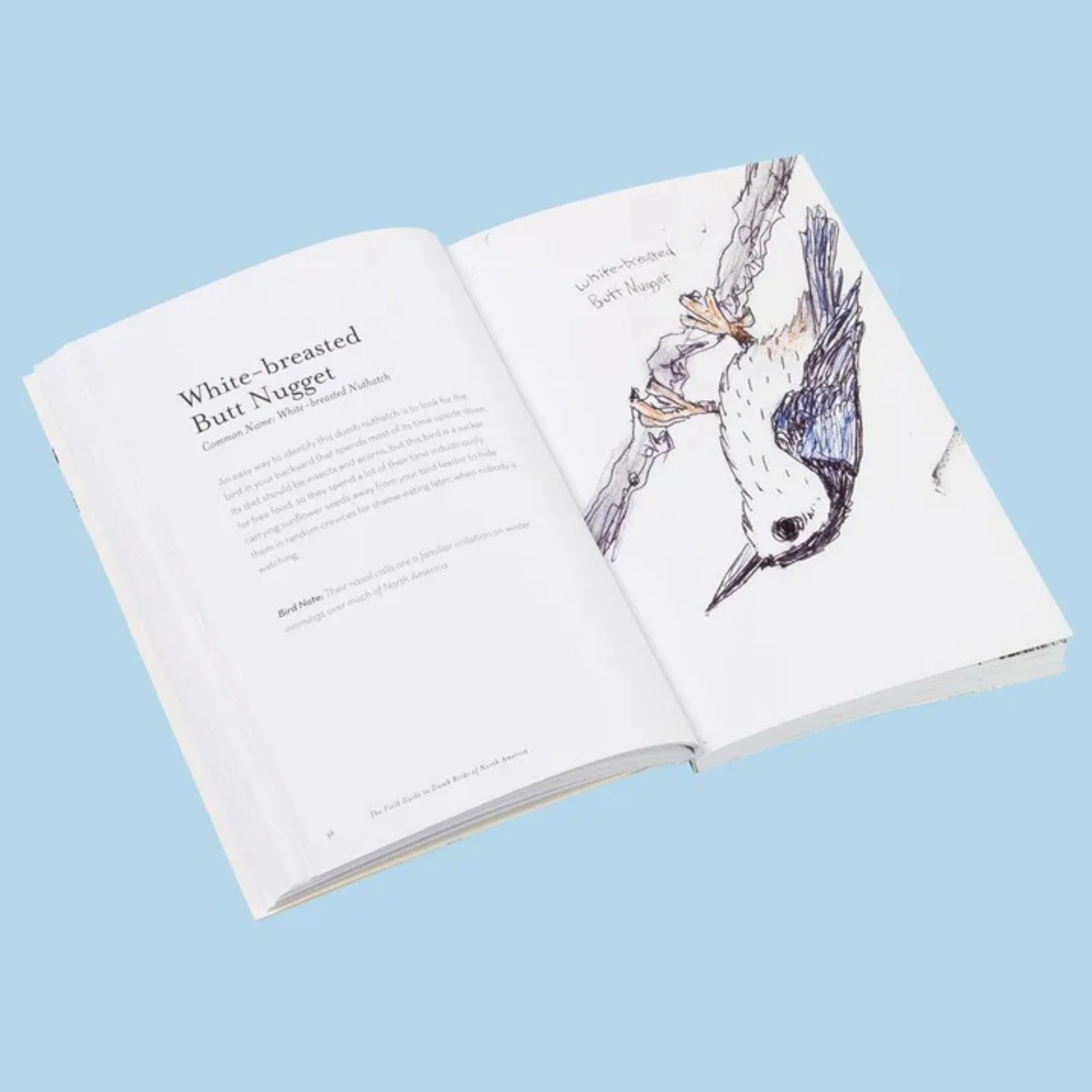 The Field Guide to Dumb Birds of North America - Image 5