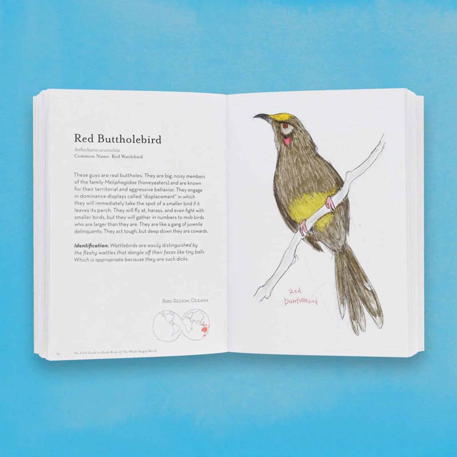 The Field Guide to Dumb Birds of the Whole Stupid World - Image 4