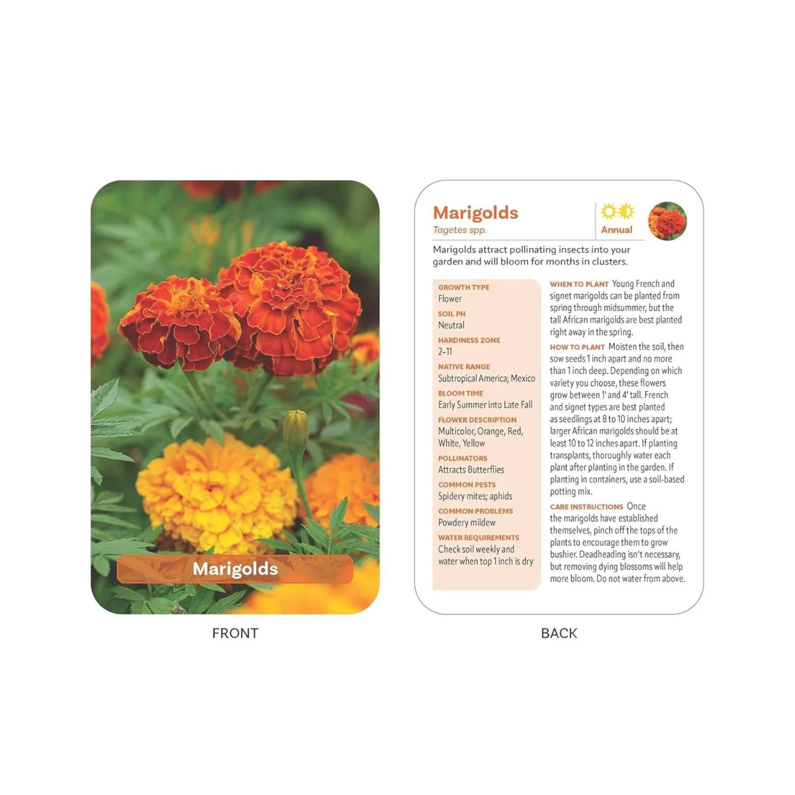 The Flower Garden Deck: 50 Flower Care Cards to Help You Plan, Plant, and Grow the Perfect Garden! - Image 3
