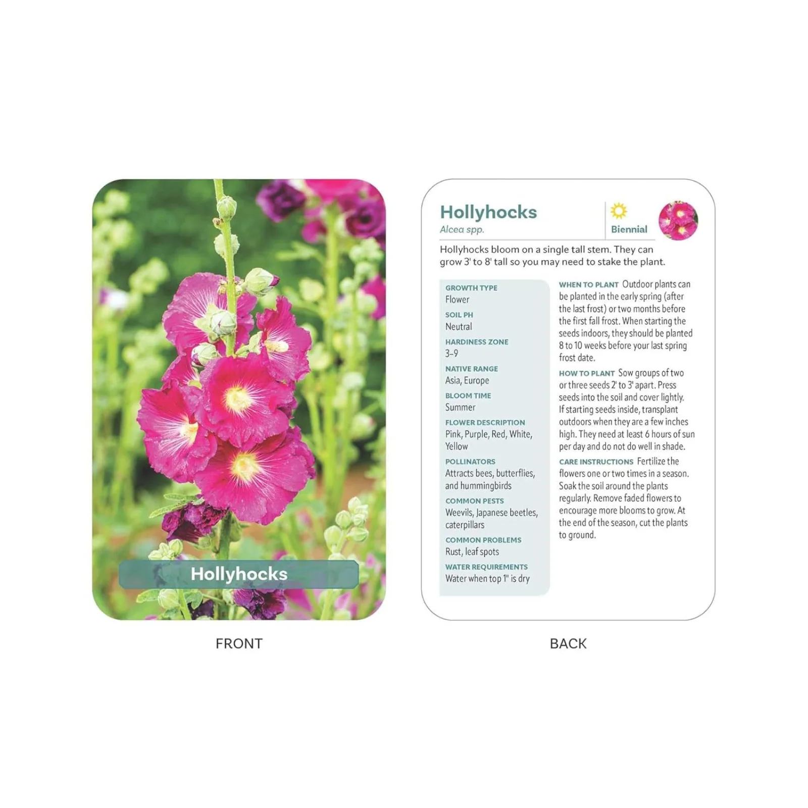The Flower Garden Deck: 50 Flower Care Cards to Help You Plan, Plant, and Grow the Perfect Garden! - Image 4