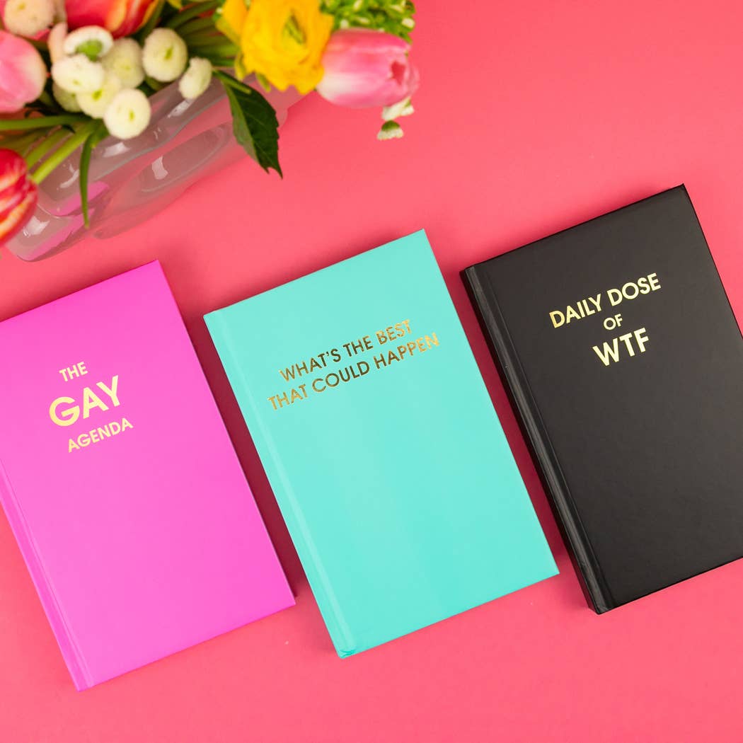 The Gay Agenda Hardcover Journal - Image 5
