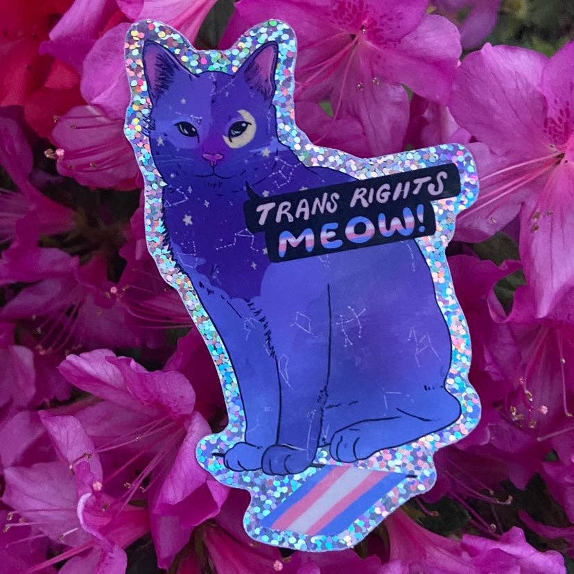 Trans Rights Meow! - Sticker (Glitter) - Image 2