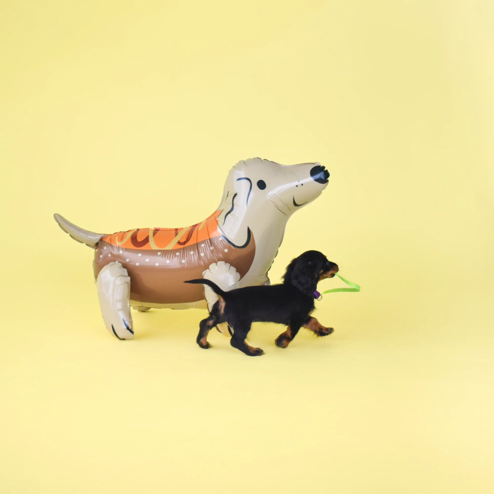 27" Hot Dog Dachshund Air-filled Balloon - Image 2